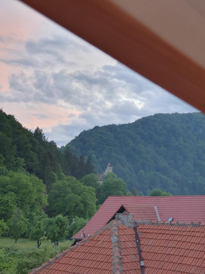 Vila Codreanu Bran  Exterior foto