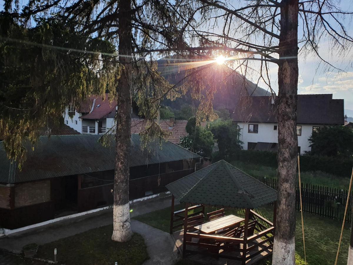 Vila Codreanu Bran  Exterior foto