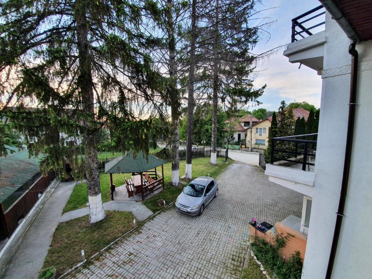 Vila Codreanu Bran  Exterior foto
