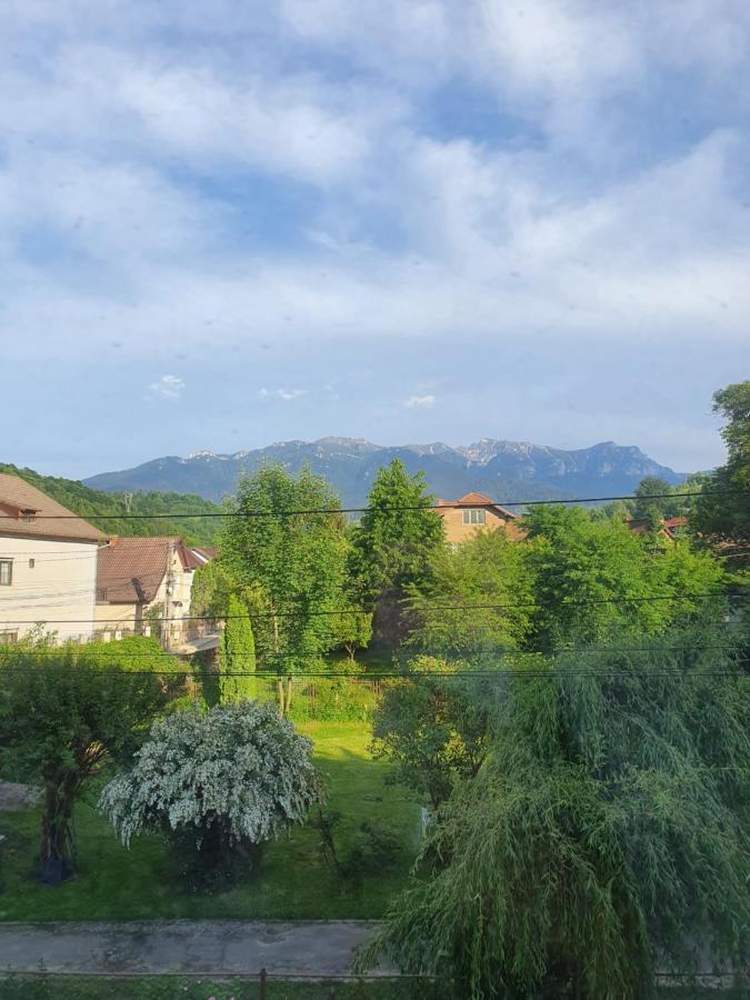 Vila Codreanu Bran  Exterior foto